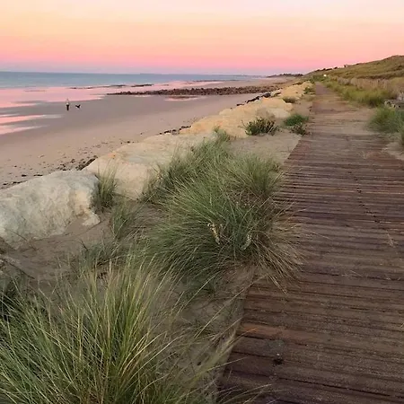 Fauvette Saint-Martin-de-Ré